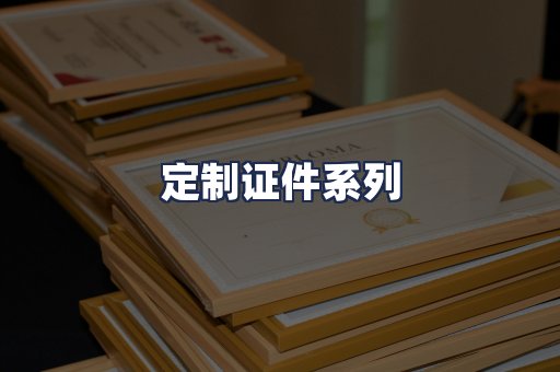 定制证件系列